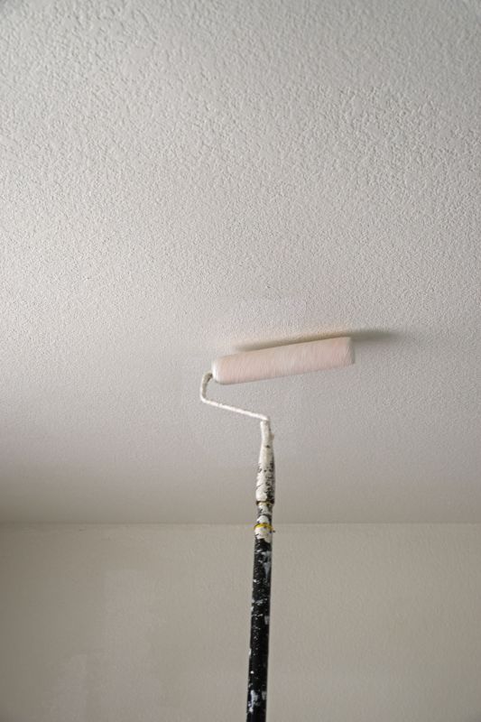 House Ceiling Painting in Wilmington, NC